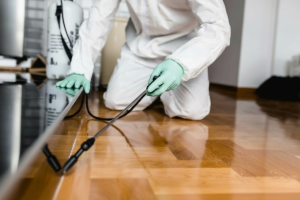 Apartment Ant Control Services