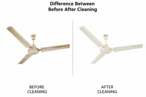 Ceiling Fan Cleaning