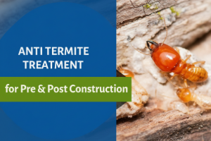 Pre Construction Anti Termite Treatment Services